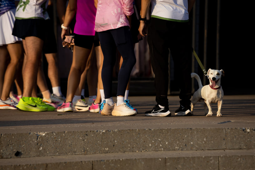 Открытие Дома бегунов