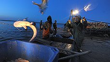 ФСБ морозит рыбаков на Камчатке