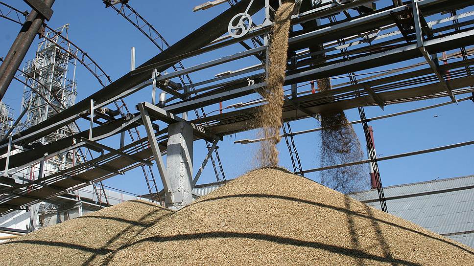 Поставленное зерно  Каневской КХП не оплачивает, ссылаясь на сложное финансовое положение