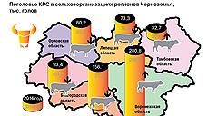 Вот и вырастили племя