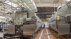 Поднебесные дрожжи