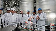«Эконива» планирует в Воронежской области сыродельный завод за 250 млн рублей