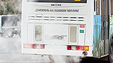 На «народные» маршруты в Воронеже выйдут обычные автобусы