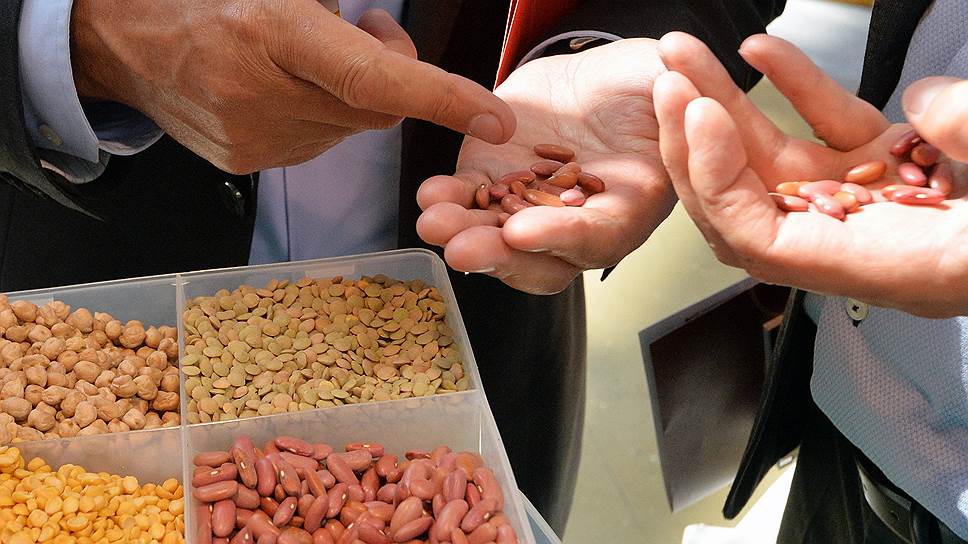 Как «Эфко» намерена бороться с дефицитом отечественных семян сои