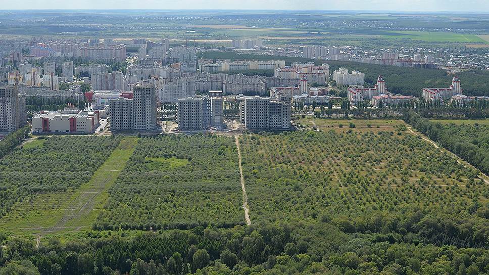 Что мешает «Выбору» и другим девелоперам застроить яблочные сады на окраине Воронежа