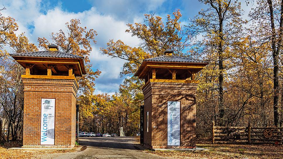 Кто пытался построить коттеджи в Воронежском заповеднике