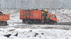 Воронежский мусор оставят при себе