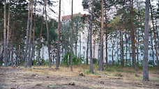 Кто влез по дрова