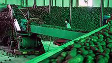 В Тамбовской области запущено картофелехранилище на 11 тыс. тонн корнеплодов