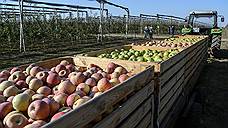 «Агро-Белогорье» начало строительство фруктохранилища