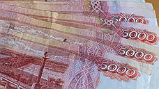 «Золотой колос» вернул в бюджет Воронежской области около 20 млн рублей