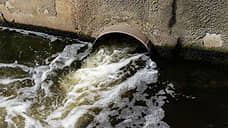 Власти Курска расследуют слив сточных вод с бетоном в лес