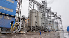 Тамбовский «Экоойл» планирует удвоить мощности маслозавода