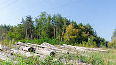 На сохранение курских лесов выделено почти 40 млн рублей