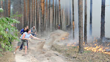 За пожарами в курских лесах будут следить нейросети
