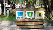 Раздельный сбор мусора обойдется Воронежской области в 500 млн рублей