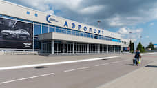 Александр Гусев одобрил создание базового перевозчика в воронежском аэропорту