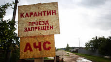 В Орловской области выявлено 13 очагов АЧС среди кабанов