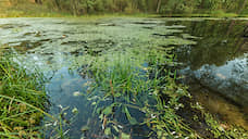 Экологическую реабилитацию реки Сейм завершат в 2020 году