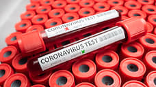 Число болеющих коронавирусом в Липецкой области выросло до семи