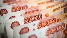 Липецкие предприниматели могут получить до 1 млн рублей на выплату зарплат и налогов