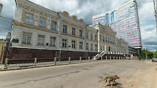 Воронежские депутаты разрешили передать 760 кв. м сквера в центре города застройщикам