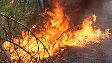 Пожар в Чернобыле не повысил радиацию в Курской области