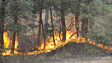 За сутки в Воронежской области пожары прошли по 133 га