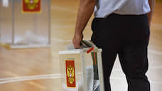 Первые кандидаты заявились на довыборы в Госдуму в Курской области