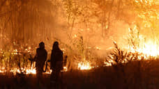 Семь домов сгорело в лесных пожарах в Воронежской области