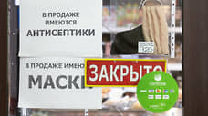 Эксперты оценили популярные ниши для малого бизнеса в Воронеже в начале делового сезона