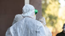 Более 900 новых случаев коронавируса подтверждено за сутки в Черноземье