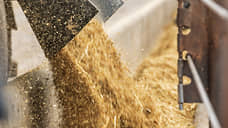 Стали известны параметры проекта по производству кормовых добавок в ОЭЗ «Орел»