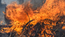 Жителю Белгородской области грозит штраф в 17 млн рублей за сжигание сухой травы