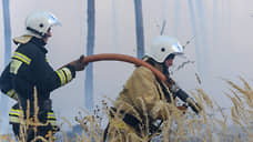 179 раз пожарные выезжали тушить траву в Воронежской области на выходных