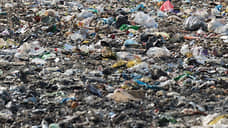 Воронежский мусорный полигон оштрафован на 572 тысячи рублей за экологические нарушения