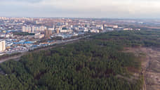 «ПГС-проект» разработает проект благоустройства Северного леса в Воронеже