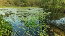 Росприроднадзор выявил улучшение экологического состояния реки Усмань