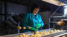 Воронежские фермеры начнут поставлять продукцию X5 Group через агроагрегатор