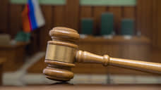 Воронежский бизнесмен Арапов обжаловал приговор за хищения
