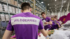 Курские школы могут начать закупки на сумму до 600 тысяч напрямую в Wildberries
