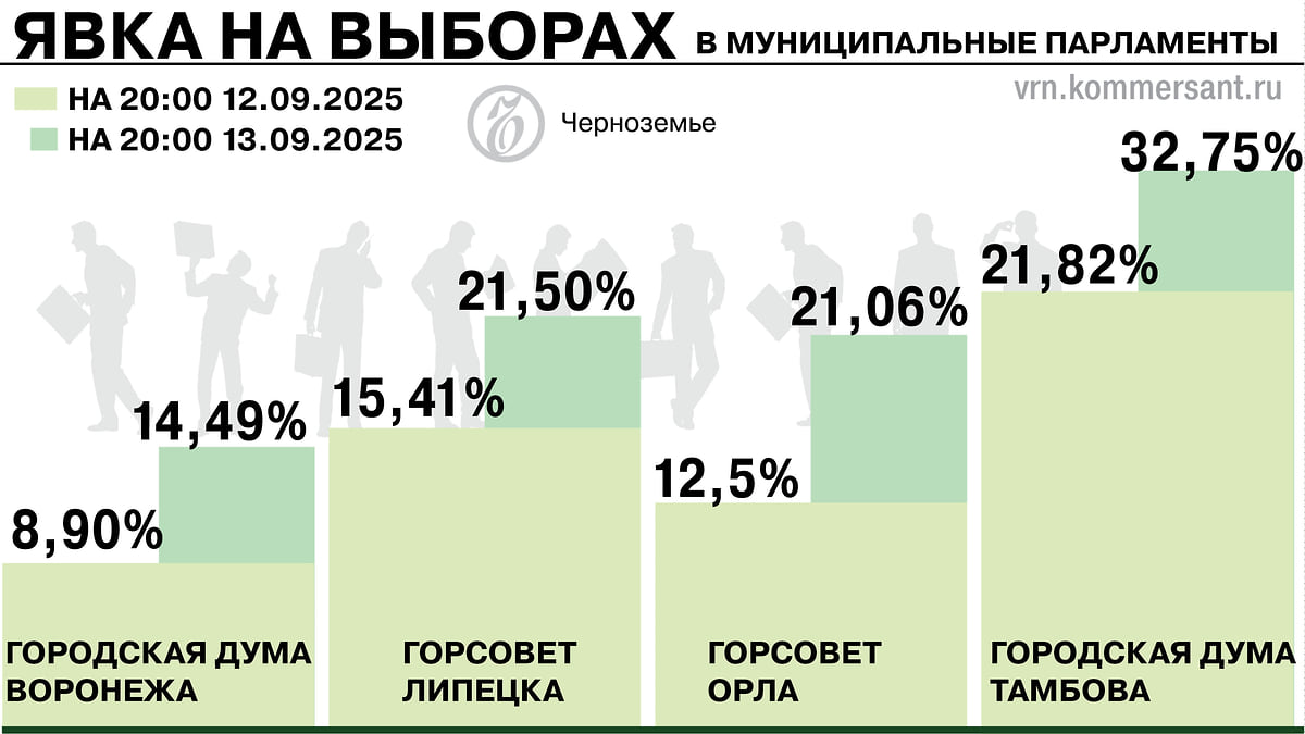 Явка в Воронеже остается самой низкой среди основных выборов в Черноземье