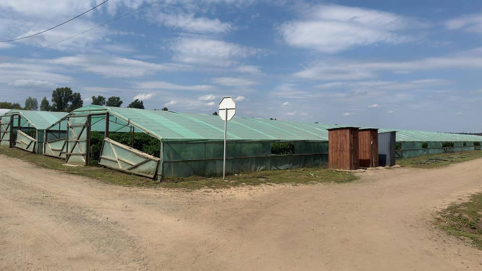 Фермерское хозяйство в Воронежской области, где было организовано незаконное пребывание 11 белорусов