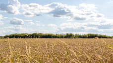 В Тамбовской области ввели мораторий на приватизацию сельхозземель до 2050 года