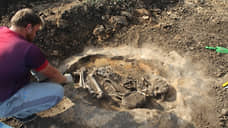 Археологи обнаружили в Воронежской области захоронение эпохи бронзы