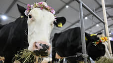 В Орловской области растениевод может построить молочную ферму за 900 млн рублей