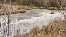 Хинштейн потребовал наказать льговский сахарный завод за загрязнение реки