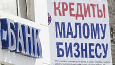 Выдача кредитов тамбовскому бизнесу сократилась на 6% за год