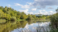 Арендатору земли у озера Круглое в Воронеже отказали в отмене возмещения ущерба