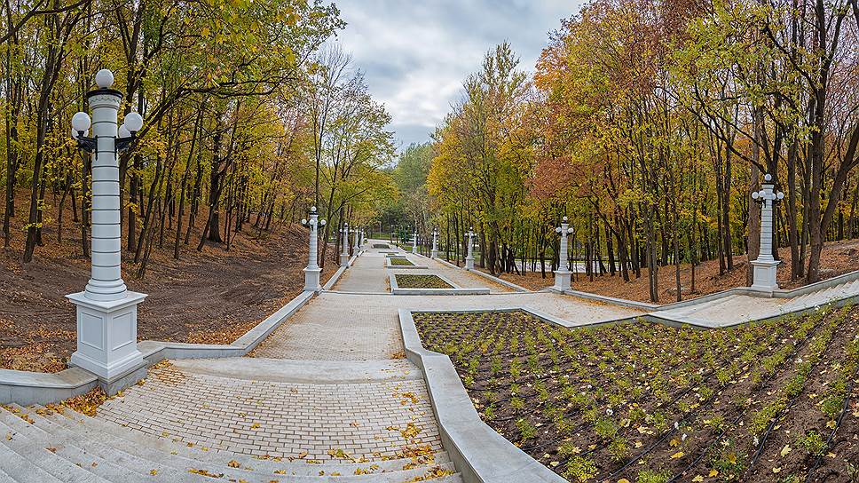 Центральный городской парк («Динамо»). Воронеж, ул. Ленина. Известен как место отдыха с середины XIX века. Сейчас идет реконструкция. Площадь  — более 100 га.